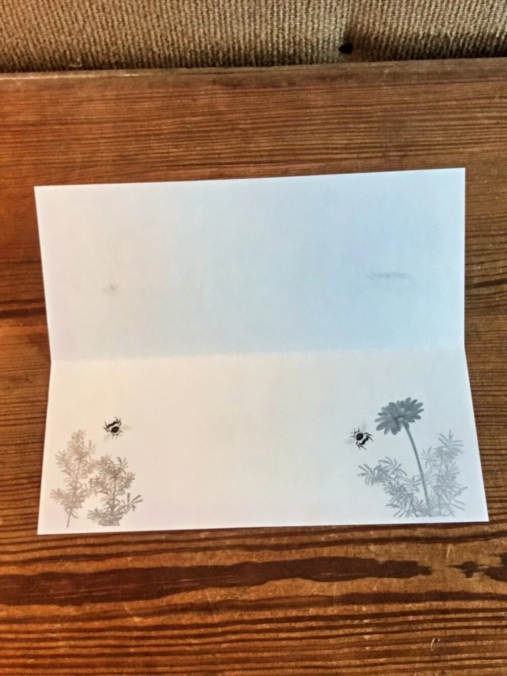 5 Shutterstock Wildlife Greeting Cards, Assorted Greetings, w/Envelopes, Unused